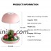 Micro Oil Diffuser Cool Mist Humidifier  House Room Mini Air Humidifiers for Baby Bedroom - Various Night Lights (Pink) - B076V8PGN3